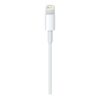 Apple Lightning cable - Lightning / USB - 2 m
