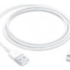 Apple Lightning cable - Lightning / USB - 1 m